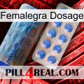 Femalegra Dosage 40